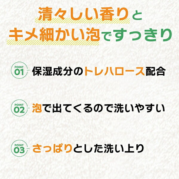楽天ビック(ビックカメラ×楽天)の太陽油脂｜TAIYO YUSHI パックスお肌しあわせハンドソープ330ml｜アングル3