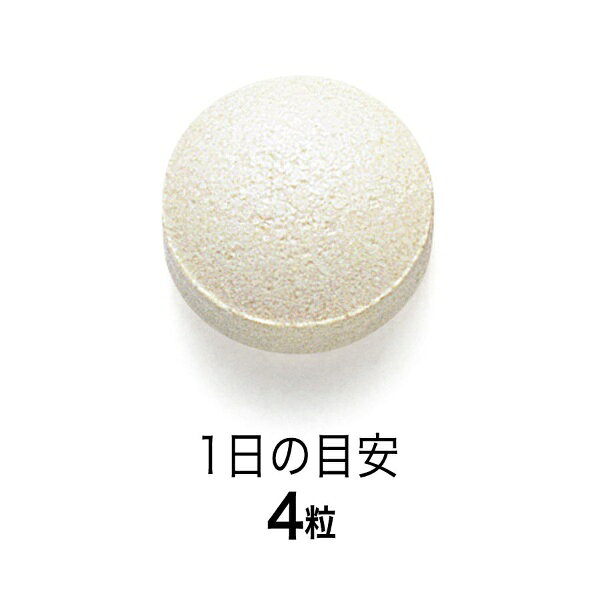 楽天ビック(ビックカメラ×楽天)のファンケル｜FANCL キトサン 30日分（120粒）｜アングル2