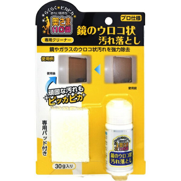 ラグロン｜Ragron 鏡のウロコ状汚れ落とし30g