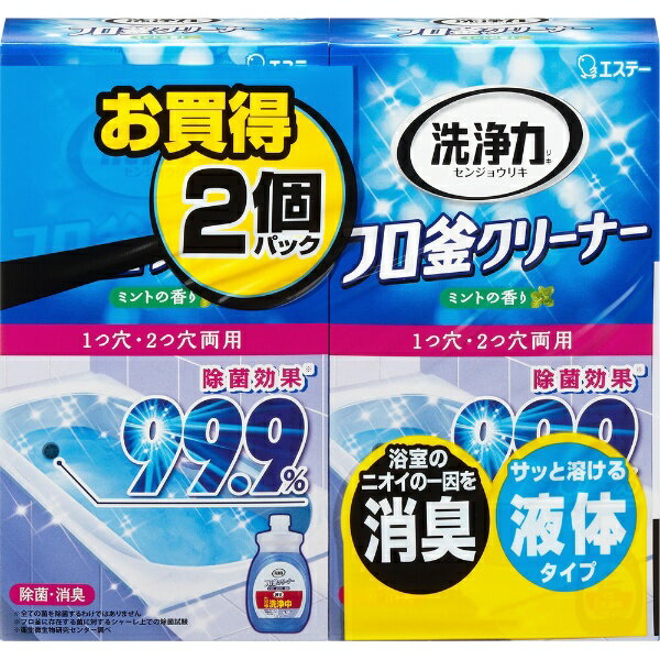 エステー｜S.T 洗浄力 フロ釜クリーナー 1つ穴 2つ穴両用 除菌 消臭 液体タイプ 350g×2個パック