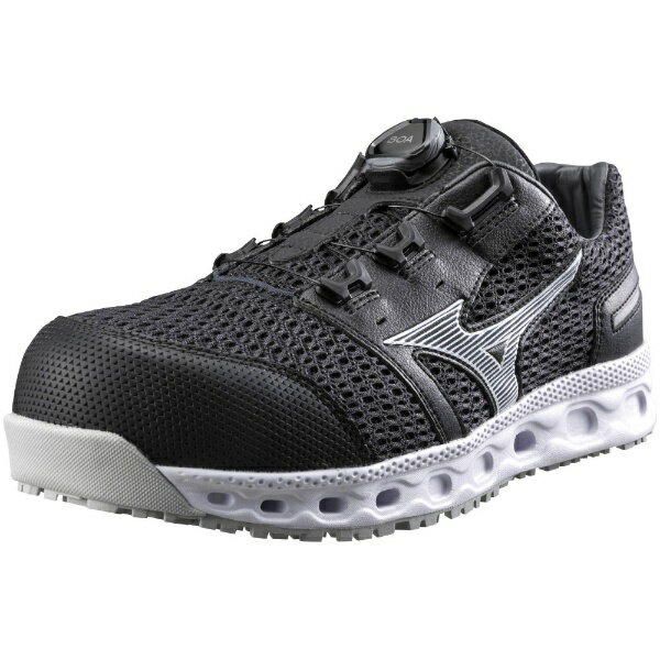 ߥΡmizuno 25.0cm   ޥƥ VH51L BOA 3E(֥åߥС) F1GA2306JSAA̺(A)ǧ ѳ ץƥƥ֥ˡۡʸԲġ