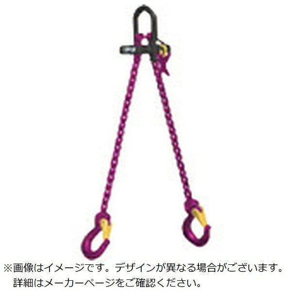 AIRLABO RUD ICE 4MM2本吊 長さ調整付 ミニリフターセット （チェーン折長さ2M） IML242