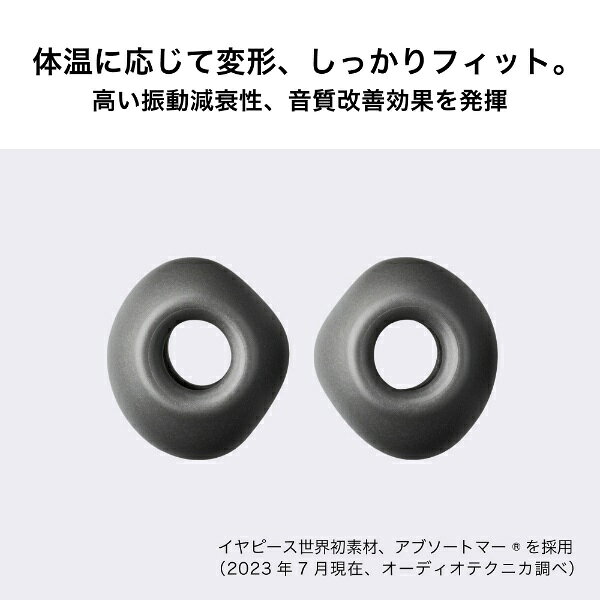 オーディオテクニカ｜audio-technica イヤピース L 2ペア AT-ER500L