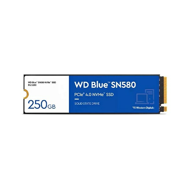 WESTERN DIGITAL｜ウェスタン デジタル WDS250G3B0E 内蔵SSD PCI-Express接続 WD Blue SN580 