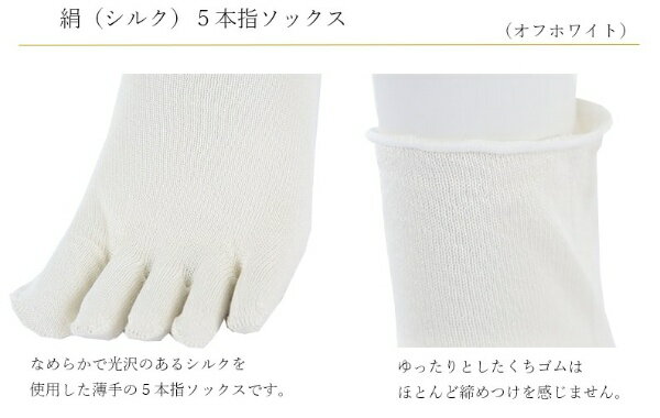 砂山靴下｜Sunayama Socks とっても薄いシルクの5本指靴下 L オフホワイト 3