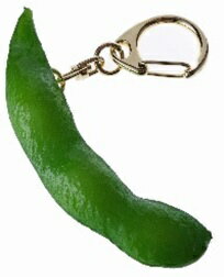 �ֲ쥵��ץ��Shiga Sample ���ͤκ�뿩�ʥ���ץ� ������������ ��Ʀ SIGA52003