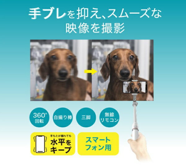 GREEN HOUSE�å��꡼��ϥ��� ���ޡ��ȥե����� ���󤿤󥹥��ӥ饤���� GH-SGA-BK