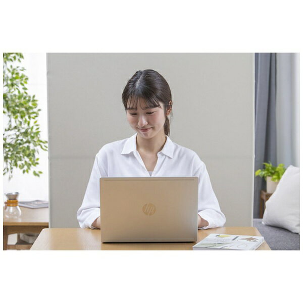IRIS OHYAMA｜アイリスオーヤマ IRIS 290779 スクリーン SRK−1680R ベージュ SRK1680RBE 【メーカー直送・代金引換不可・時間指定・返品不可】 2