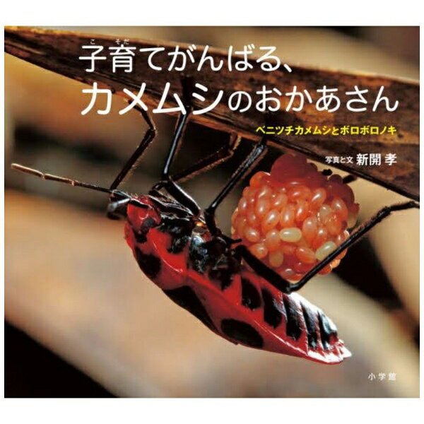 小学館｜SHOGAKUKAN 小学館の図鑑NEOの科学絵本 子育てがんばる、カメムシのおかあさん