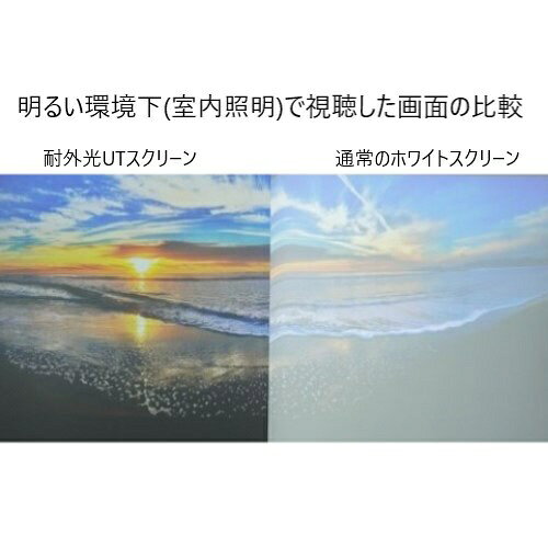 【エントリーで最大全額ポイント還元｜8/11まで】 キクチ科学｜KIKUCHI SCIENCE LA...