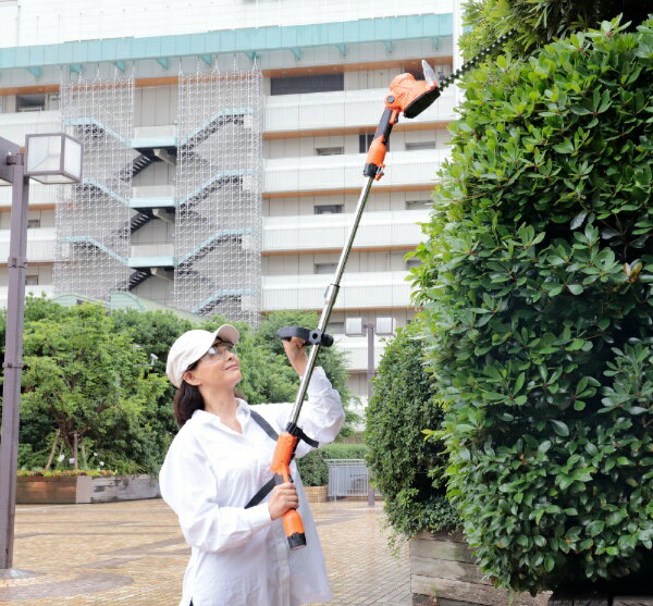 �t�@�~�� �[�d���R�[�h���X���_ ������o���J��DX 11�_�Z�b�g �\���o�b�e���[�t�� 04204