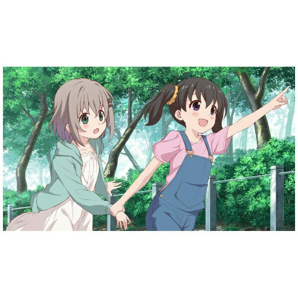エンターグラム｜ENTERGRAM ヤマノススメ Next Summit 〜あの山に、もう一度〜【Switch】 【代金引換配送不可】