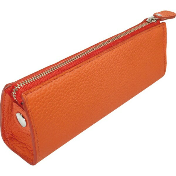 �ɾ����SAKAE LAIN �쥶�������� F-61 �����