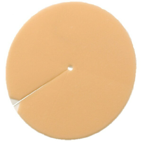 イーキンジャパン｜Eakin サラウンドスキンプロテクター 839011（大）10枚