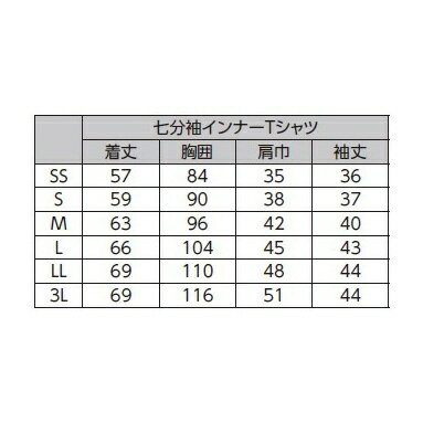 ƲJichodo ʬµʡT WH90029M ۥ磻