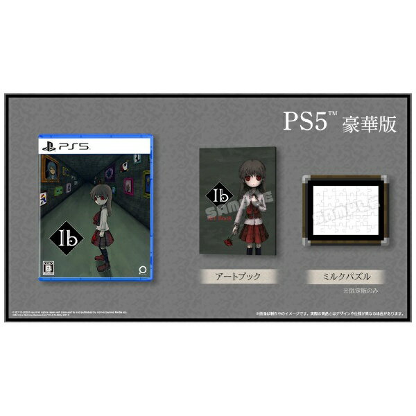 PLAYISM｜プレーイズム Ib　豪華版【PS5】 【代金引換配送不可】