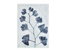 ソダール｜Sodahl ティータオル 50x70 Ginkgo 6個セット Sodahl ソダール イチョウ 25110CN