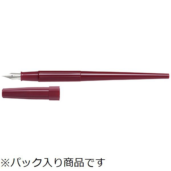 Other - PILOT｜パイロット 万年筆 EF パック入 レッド