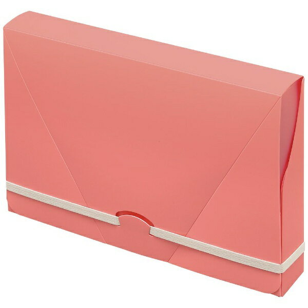 PILOT｜パイロット 持ち歩きワークファイル A5ワイド コーラル