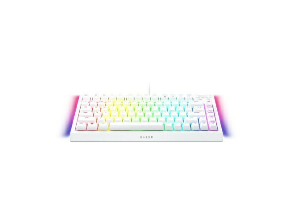 Razer BlackWidow V4 画像2