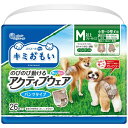 大王製紙|Daio Paper キミおもい のびのび動けるアクティブウェア M以上フリーサイズ 26枚