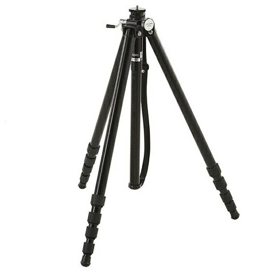 �w�b�h�����^�O�r5�i (�r���̂݁E���l�W�d�l) HT-1150