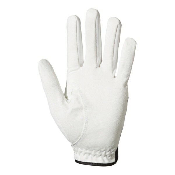 フットジョイ｜FootJoy 【メンズ 左手着用(右利き用)】 ゴルフグローブ ナノロック...