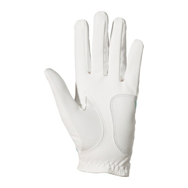 フットジョイ｜FootJoy 【レディース 両手着用】 ゴルフグローブ ウェザーソフ レ...