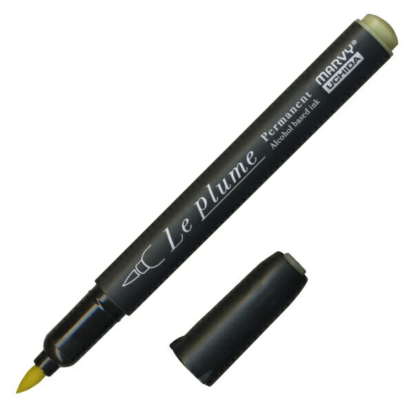 �ޡ��ӡ���MARVY ��ץ롼��ѡ��ޥͥ�� ���ե��ǥ��륤������ Y621 (����) 3000B-Y621