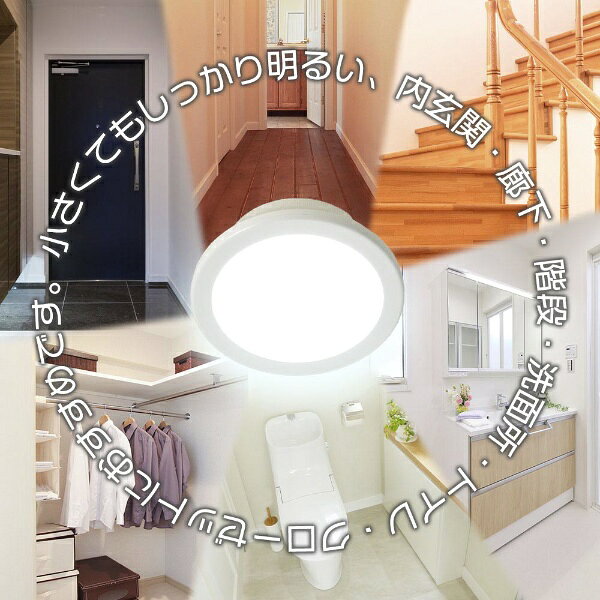 オーム電機｜OHM ELECTRIC LEDミニシーリングライト40形620ルーメン昼光色 LE-Y6DG...