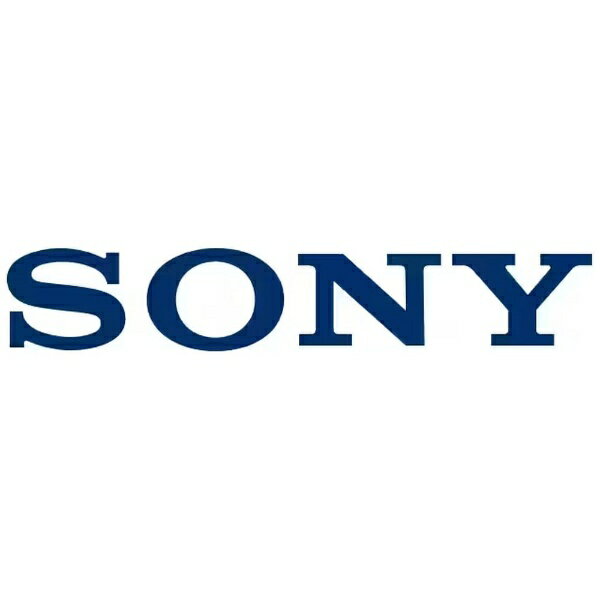 ソニー｜SONY WF-SP900用 水泳用イヤーピース S 1個 ホワイト ZZ-SP9SWEP S W