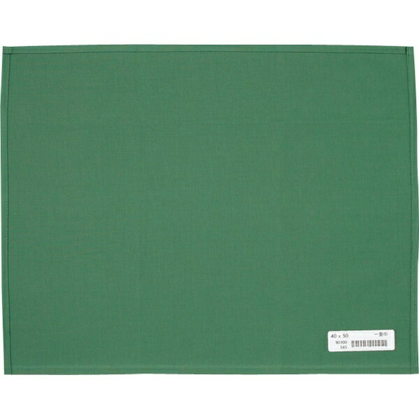 ナガイレーベン｜NAGAILEBEN 一重四角巾 AD-90100 546 グリーン