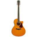 これからギターを始める方や、セカンドギターとしてもおすすめなコストパフォーマンスに優れたモデルです。こちらの商品はエレアコ仕様です。付属のケーブルを使用しアンプ(別売り)から音を出すことも出来ます。