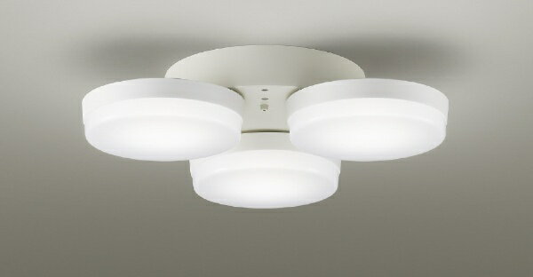 DXL-81471 [���T�e��]