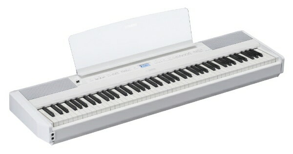 カシオ　CASIO　ベーシックキーボード ホワイト [61鍵盤]　CT-S200WE