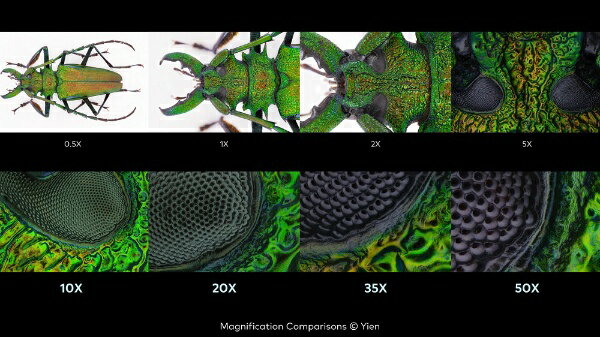 LAOWA�å饪�� Aurogon FF 10-50x NA0.5 supermicro APO Nikon Z AROGON-Z [�˥���Z /ñ�������]�ڥ���󥻥��Բġ�