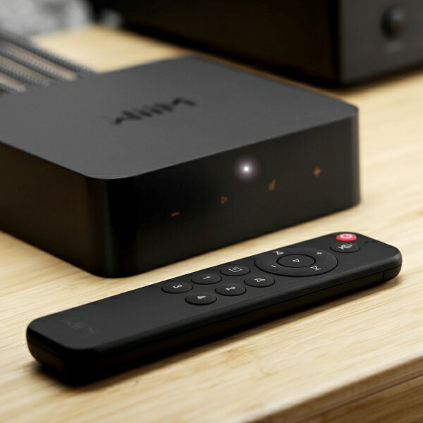 WiiM�å������� WiiM���ѥܥ�������ȥ������б���⥳�� WiiM Voice Remote