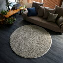 《BIG SIZE RUG》再生繊維を使用したサスティナブルなカーペット。太さの異なる糸を組み合わせた表情豊かなシャギーラグです。■滑り止めフローリングなどの床材上で使用していただいた場合でもラグが滑りにくい加工を施した製品です。■防ダニ加工ダニが嫌がる成分を用いダニを寄せつけず追い出す忌避効果があります。■アレルブロックダニのフンや死骸、さらにスギ花粉アレル物質を吸着することで、安心・快適・クリーンな室内環境を作ります。■ホットカーペット・床暖対応耐熱加工をし、ホットカーペットや床暖房の熱に強い商品です。