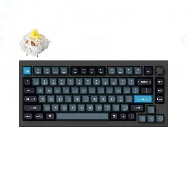 ڥȥ꡼2pt(5/20ޤ) Keychronå ܡ Q1 Pro RGB饤(ХʥʼѸ) ...