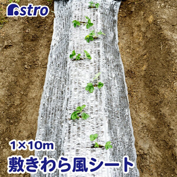 アストロ｜Astro 敷きわら風キラキラシート1×10m 530-09