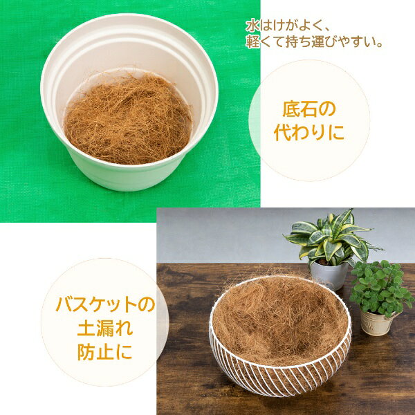 �����ȥ���Astro �����䥷�ե����С� 100g 624-02