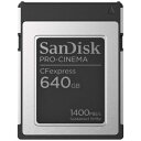 サンディスク｜SanDisk SanDisk PRO-CNEMA C