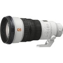 【エントリー最大5倍|対象ユーザー限定 5/18迄】 SONY|ソニー カメラレンズ FE 300mm F2.8 GM OSS SEL300F28GM [ソニー...