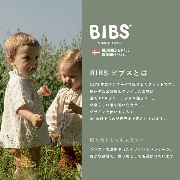 CLOVIS BABY｜クロビスベビー 天然ゴムおしゃぶり COLOUR（カラー） 1PK サイズ1 Haze Haze 3