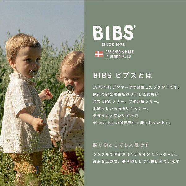 楽天ビック(ビックカメラ×楽天)のCLOVIS BABY｜クロビスベビー 天然ゴムおしゃぶり COLOUR（カラー） 2PK サイズ1 Dark Oak / Blush Dark Oak / Blush｜アングル3