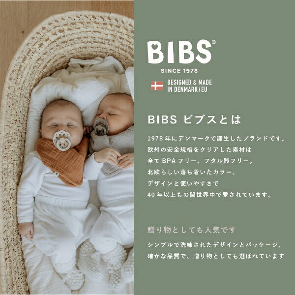 楽天ビック(ビックカメラ×楽天)のCLOVIS BABY｜クロビスベビー 天然ゴムおしゃぶり BOHEME（ボヘミ） 2PK サイズ1 White / Sunshine White / Sunshine｜アングル3