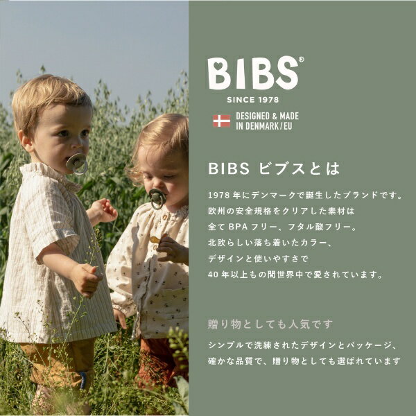 CLOVIS BABY｜クロビスベビー 天然ゴムおしゃぶり COLOUR（カラー） 2PK サイズ1 Vanilla / Iron Vanilla / Iron 3
