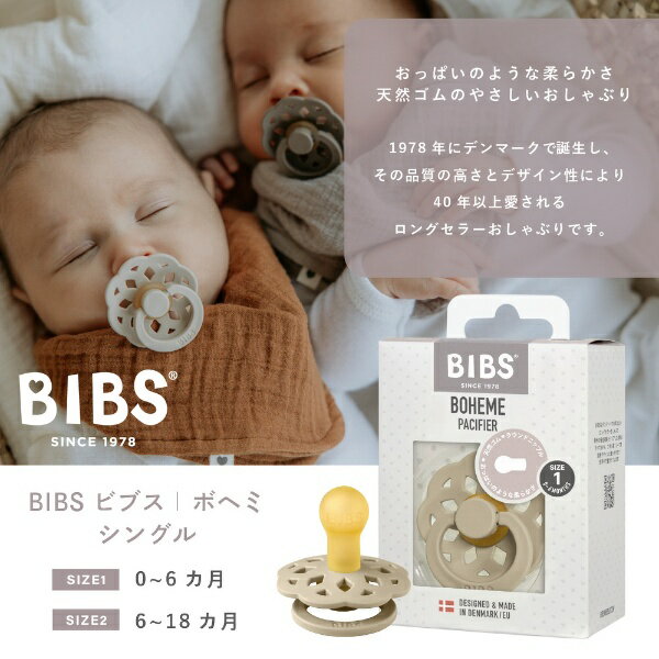 CLOVIS BABY｜クロビスベビー 天然ゴムおしゃぶり BOHEME（ボヘミ） 1PK サイズ1 Woodchuck Woodchuck 2