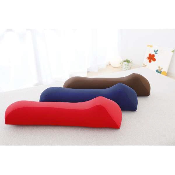 �ӡ�����Beech ���ͤ������� �֥饦��