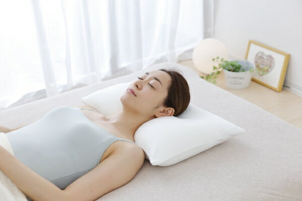 �ڥ���ȥ꡼�Ǻ���2���ݥ�����������4/23�ޤǡ� �ӡ�����Beech ���ͤη��ǰ������ �ۥ磻��